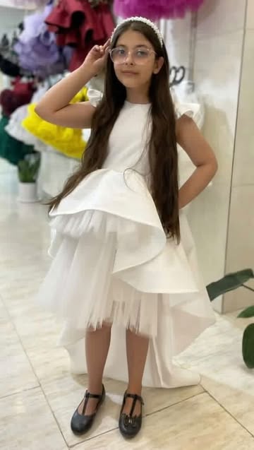 مجلسی مدل دنباله دار